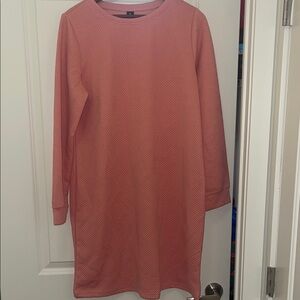 Textured Dusty Rose Long Sleeve Shift Dress